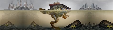 evolution games online